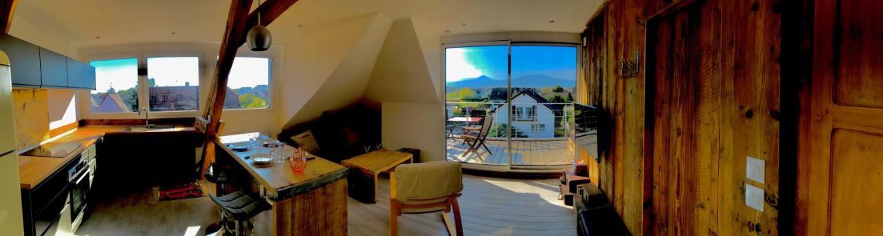 Appartement Chaleureux Et Lumineux Avec Vue ! Au Centre Alsace 塞莱斯塔 外观 照片